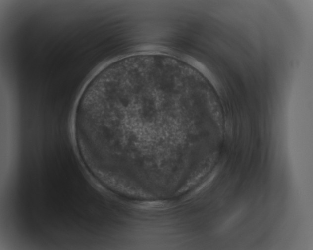 X0000100941482200807151255