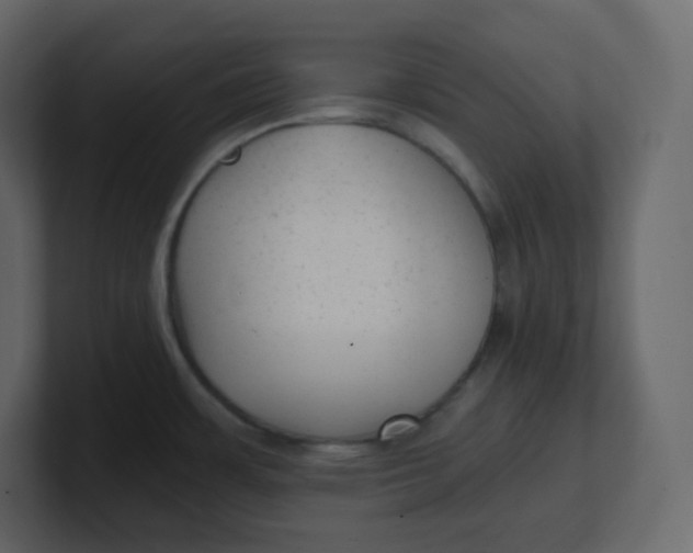 X0000100941483200807151255