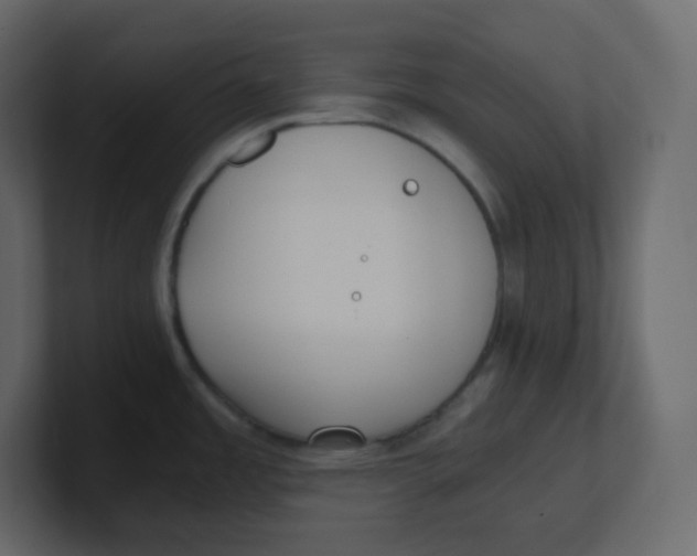 X0000100941485200807151255