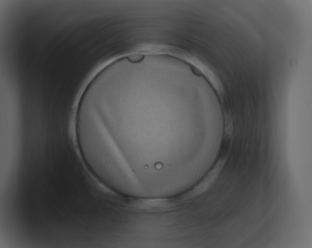 X0000100941486200807151255