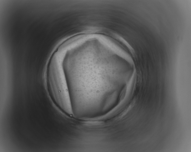 X0000100941487200807151255