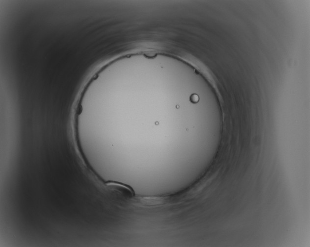 X0000100941488200807151255