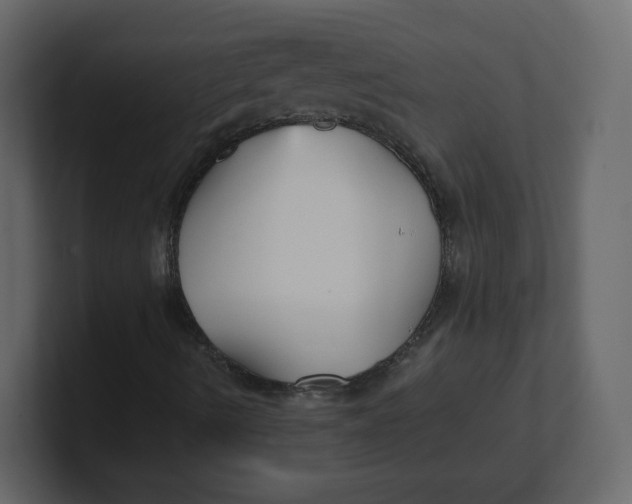 X0000100941490200807151254