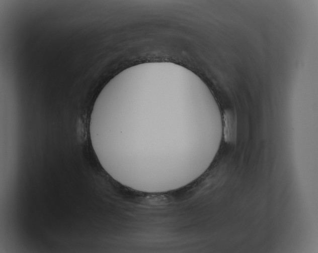 X0000100941491200807151254