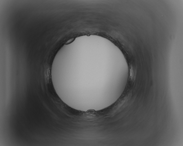 X0000100941492200807151254