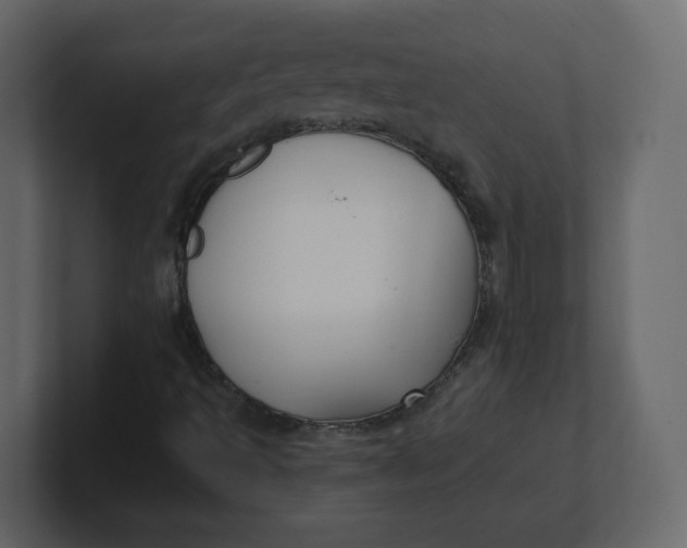 X0000100941493200807151254