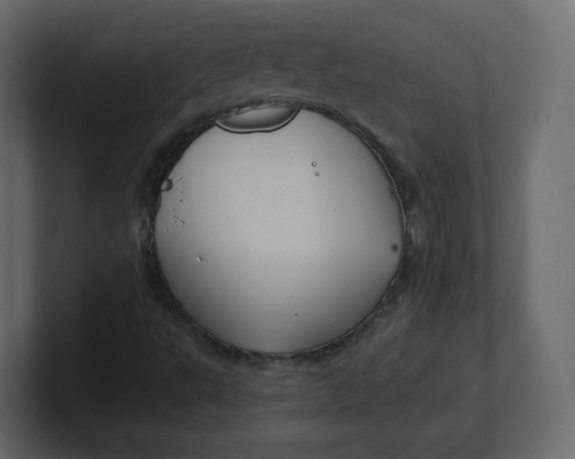 X0000100941495200807151254