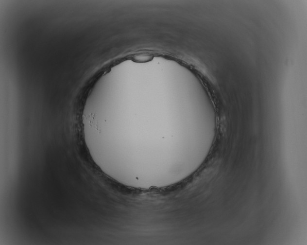 X0000100941496200807151254