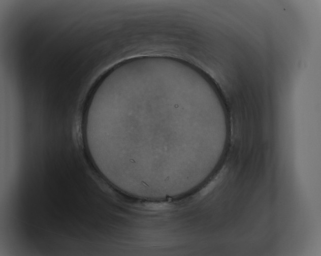 X0000100941498200807151254