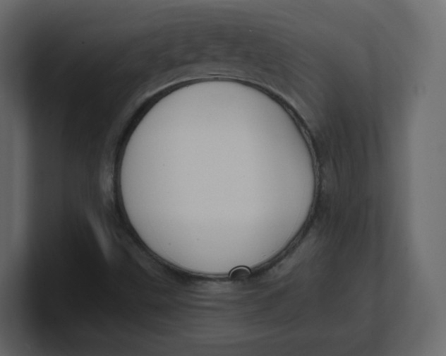 X0000100941499200807151254