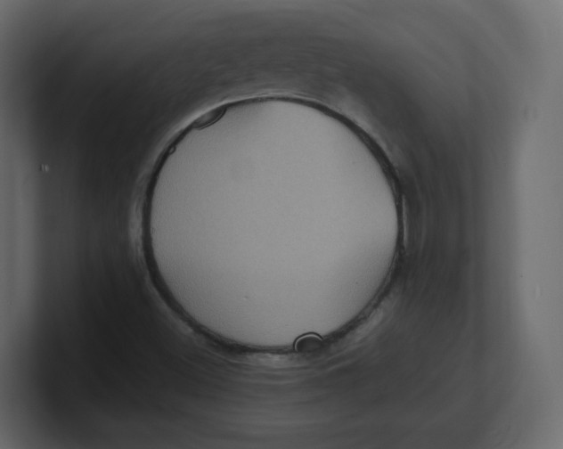 X0000100941500200807151254