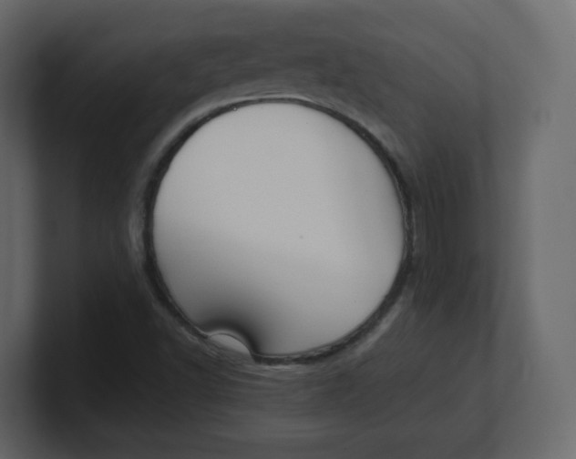 X0000100941502200807151254