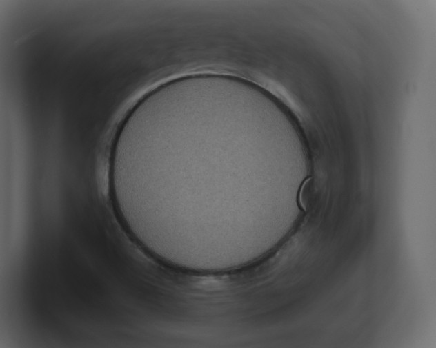 X0000100941504200807151254