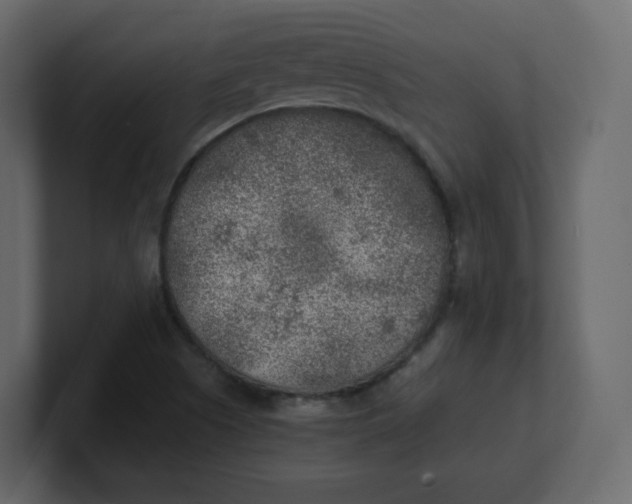 X0000100941505200807151254