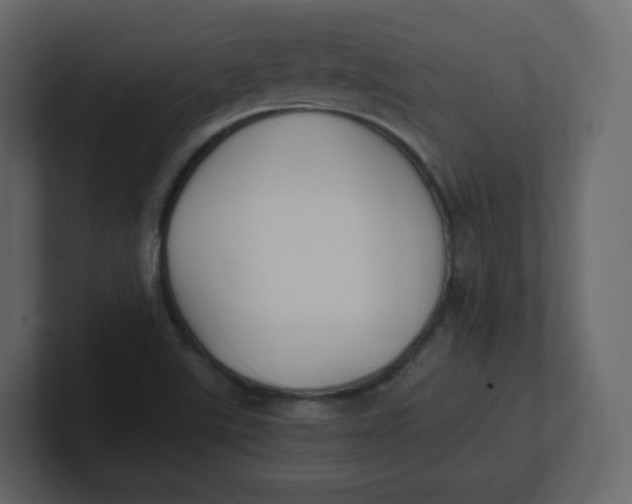 X0000100941507200807151254