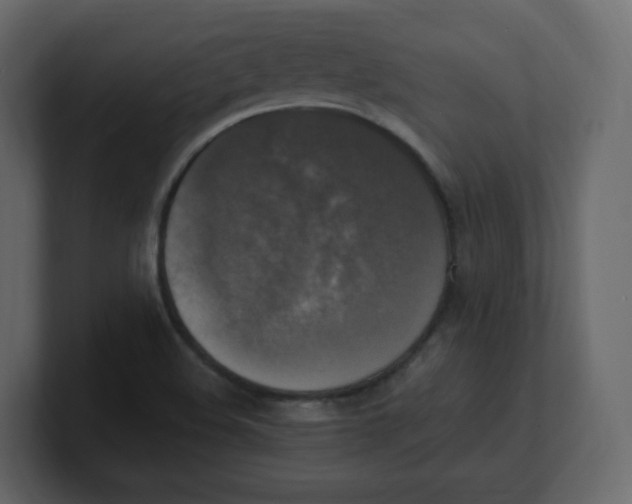 X0000100941508200807151254