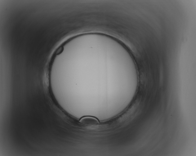 X0000100941510200807151254