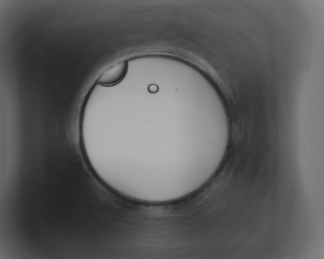 X0000100941512200807151254