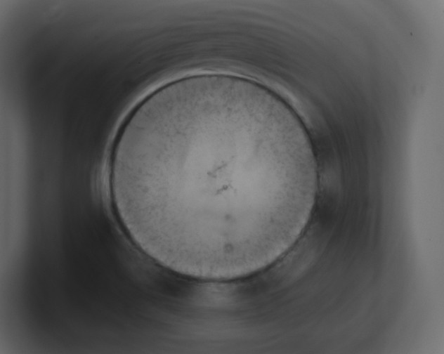 X0000100941514200807151255