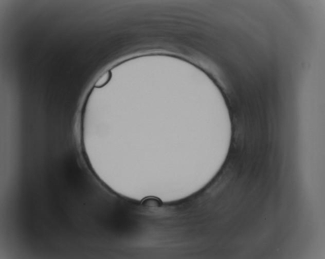 X0000100941516200807151255