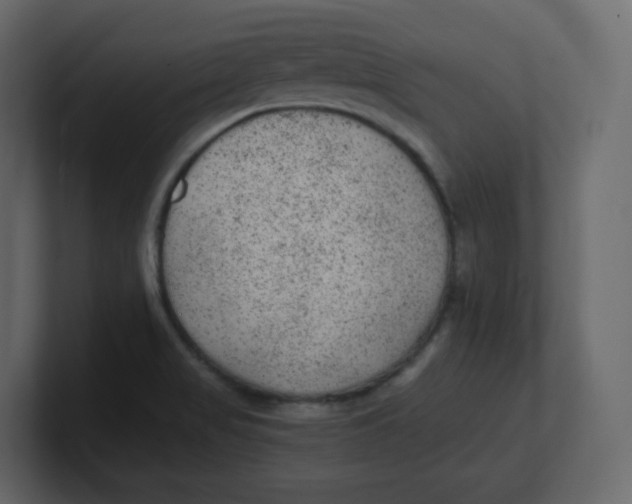 X0000100941517200807151255