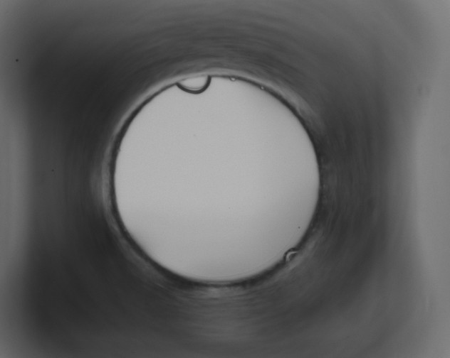 X0000100941518200807151255