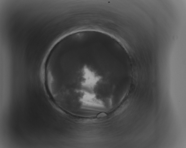 X0000100941519200807151255