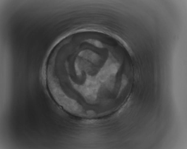 X0000100941522200807151255