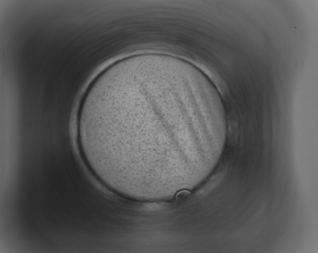 X0000100941523200807151255