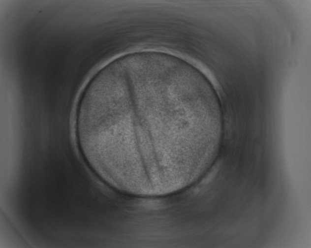 X0000100941525200807151255