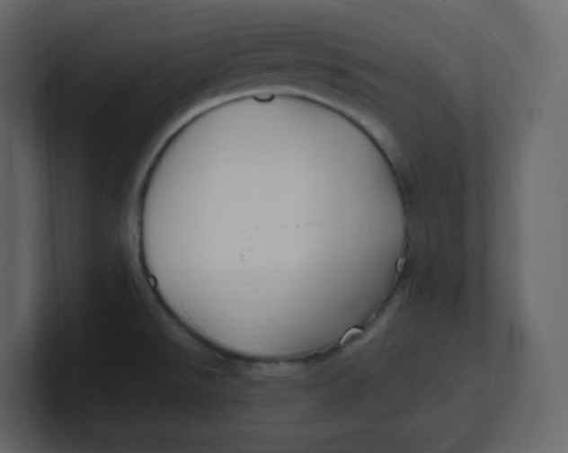 X0000100941526200807151255