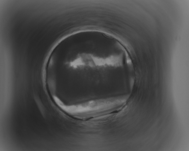 X0000100941527200807151255