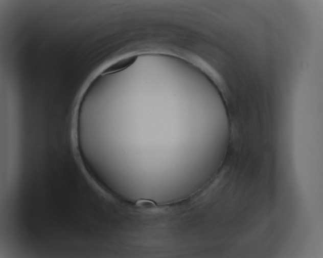 X0000100941528200807151255