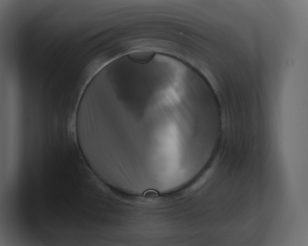 X0000100941529200807151255