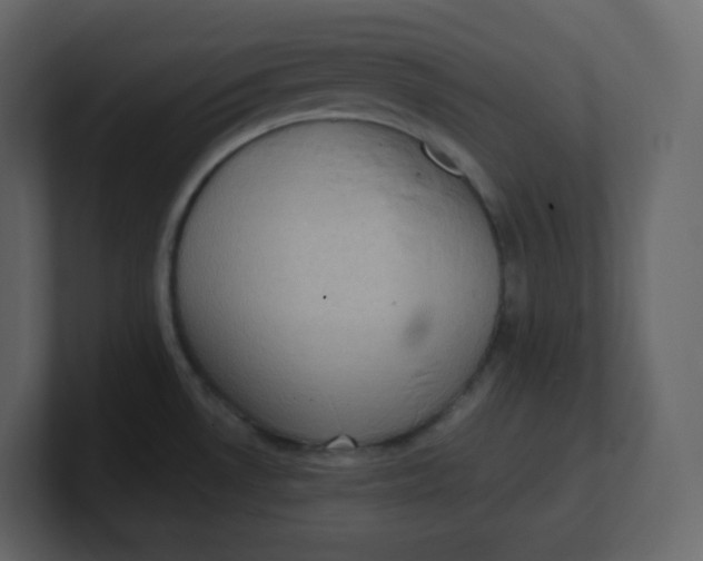 X0000100941530200807151255