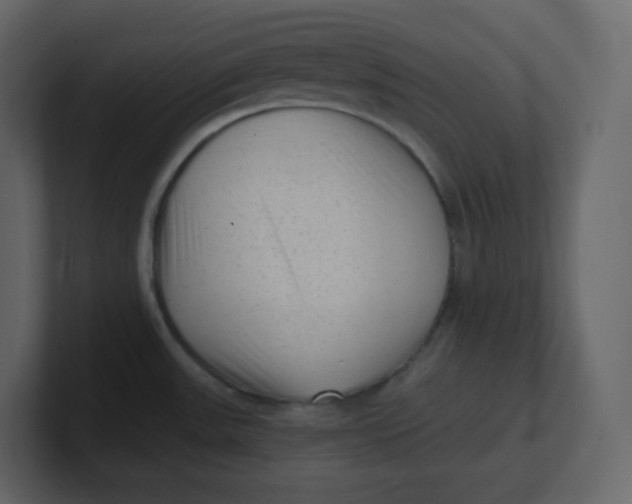 X0000100941531200807151255