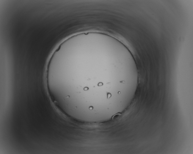 X0000100941532200807151255