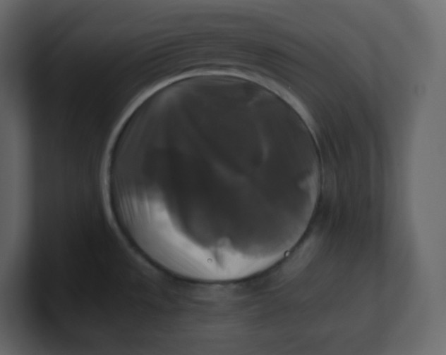 X0000100941533200807151255