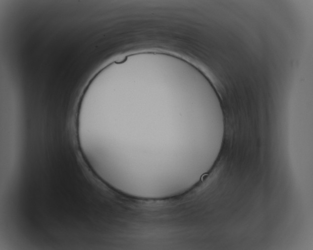 X0000100941534200807151255