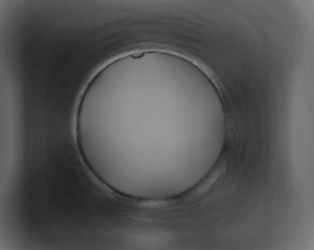 X0000100941535200807151255