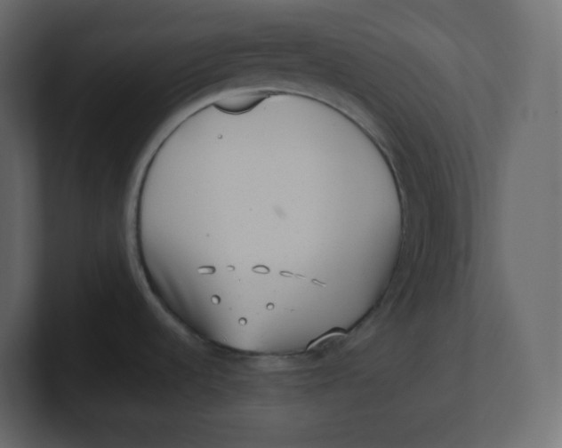 X0000100941536200807151255