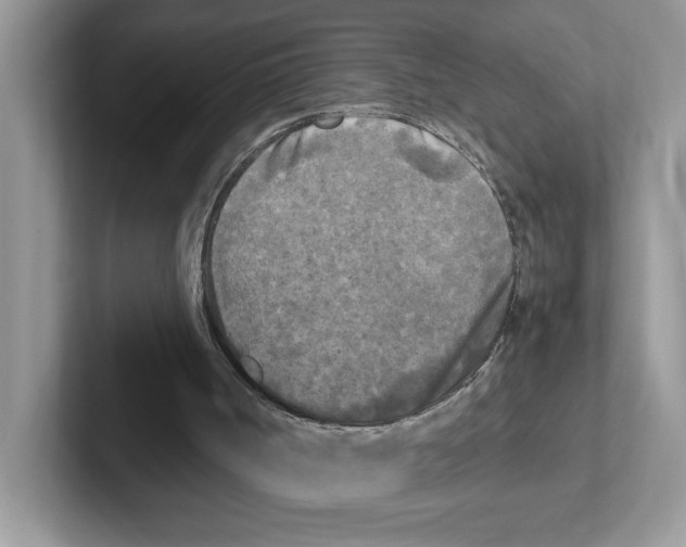 X0000100940002200807221207