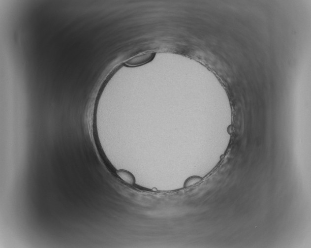 X0000100940003200807221207