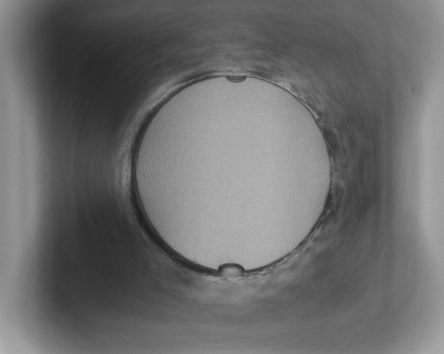 X0000100940005200807221207