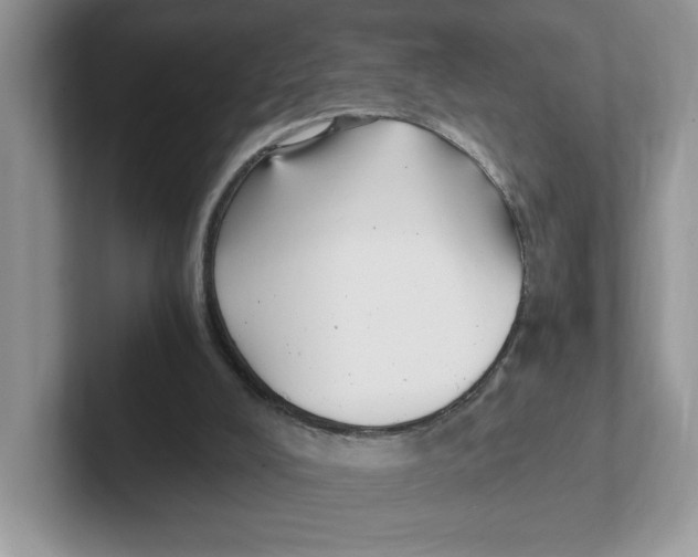 X0000100940008200807221207