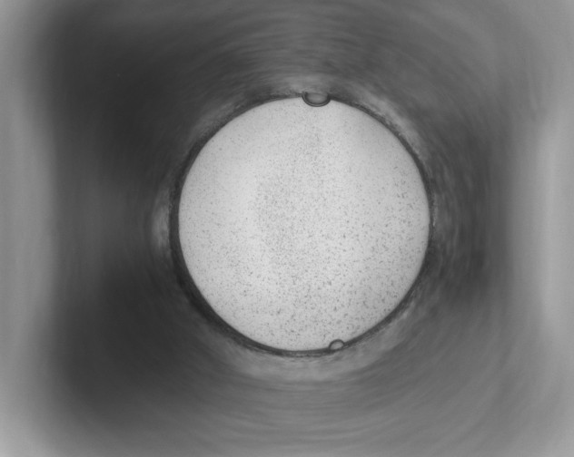 X0000100940010200807221207