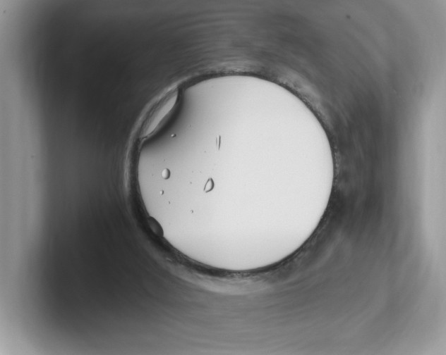 X0000100940012200807221207