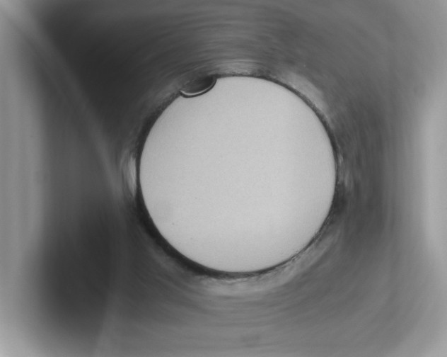 X0000100940013200807221207