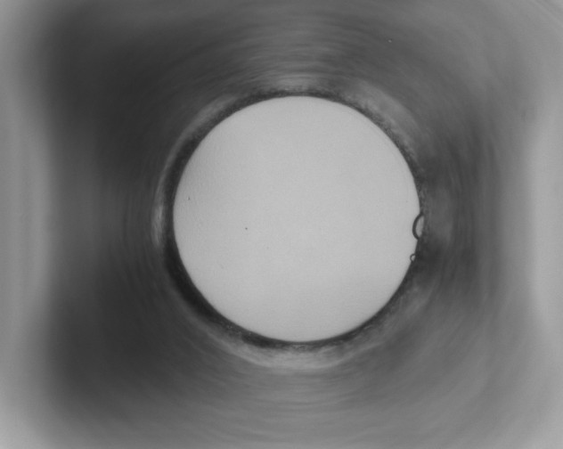 X0000100940016200807221207