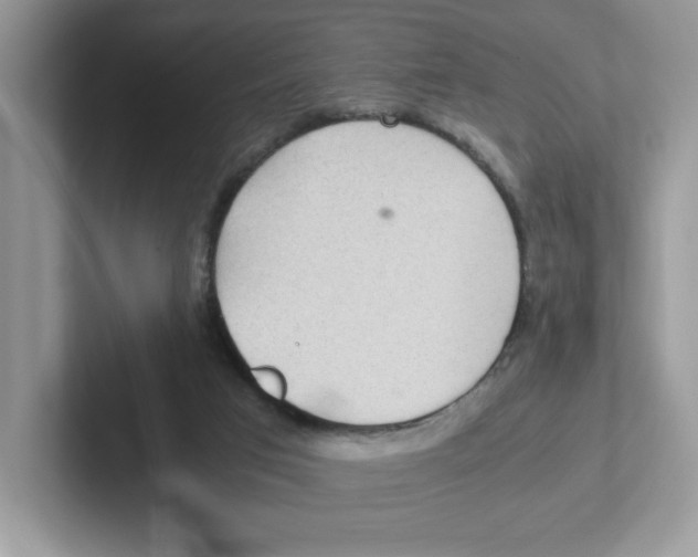 X0000100940017200807221207